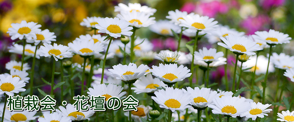植栽会・花壇の会の活動について